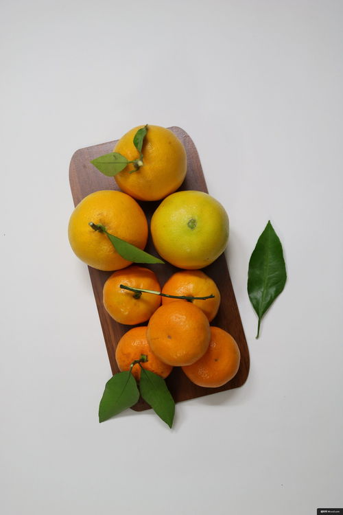 橙意盎然 葡萄柚与柑橘类水果的美食摄影艺术